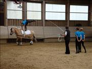 voltitag 2009 _CD2 126